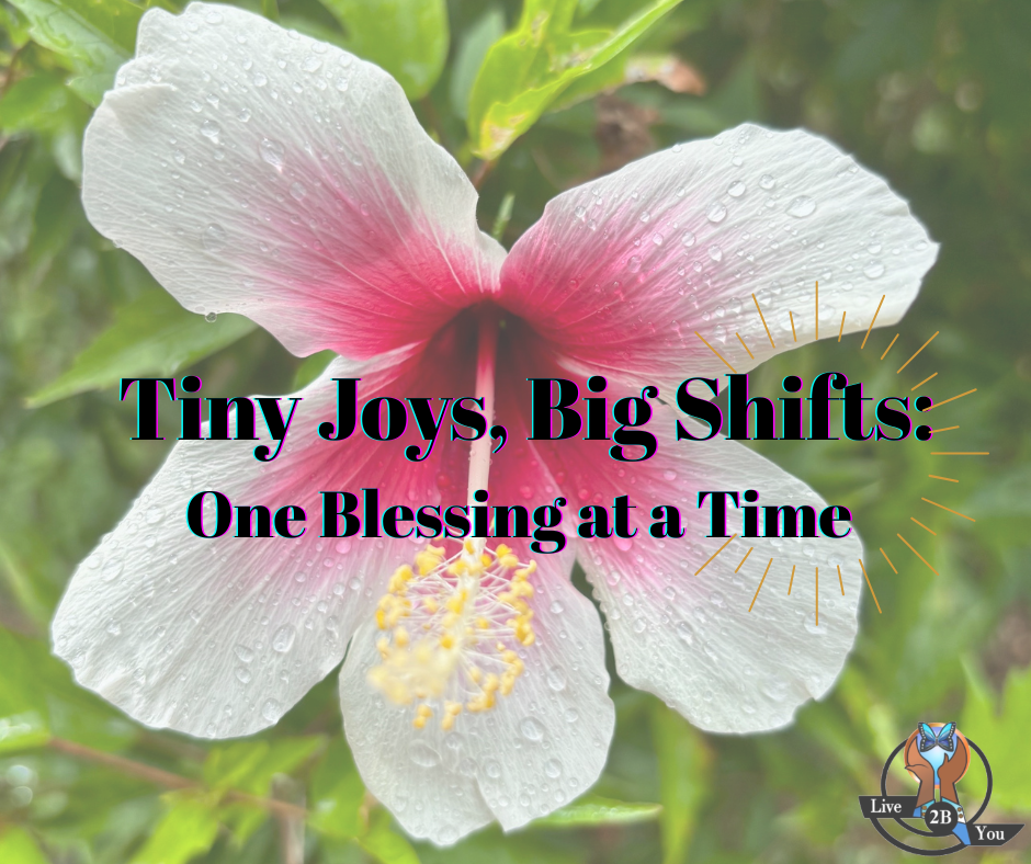 Tiny Joys, Big Shifts: One Blessing at a Time